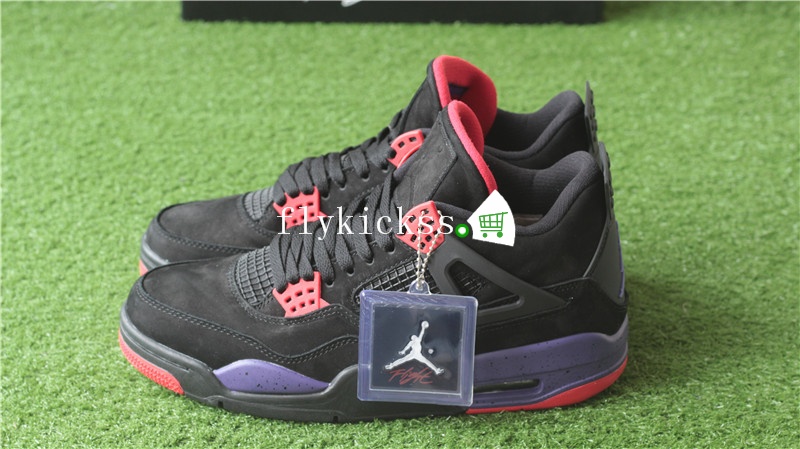 Air Jordan 4 Retro NRG Raptors